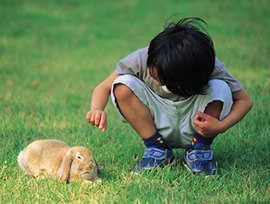 うさぎと少年